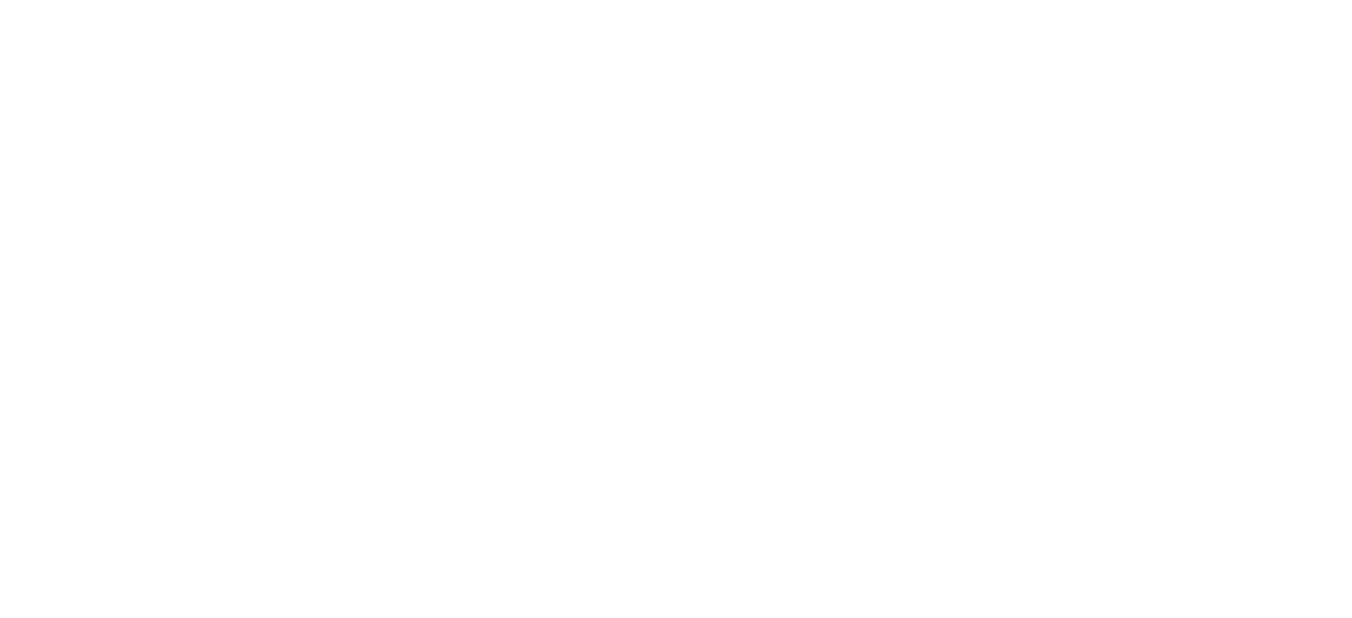 University of Limerick